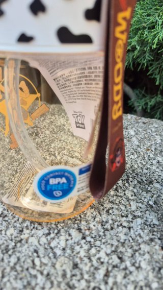 Botella Woody Toy Story Miniso