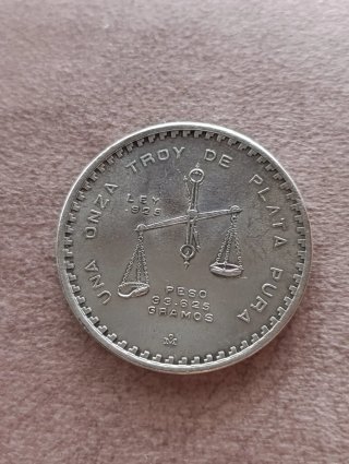 Onza Troy Plata Pura 33.625 Gramos