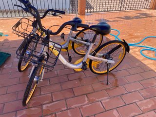 Bicicletas de paseo con cesta y luces