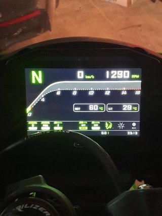 Kawasaki ZX10R Negra y Verde