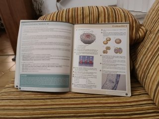 Biología, Geología y CC. Ambientales 1º Bachill...