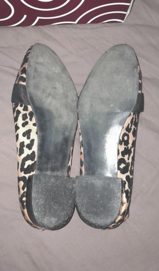 Bailarinas Zara Animal Print