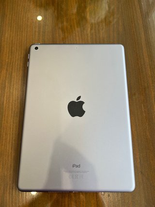 iPad 6ª Gen Plata Rosa
