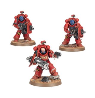 3 Erradicadores Armaguedon con bolter pesado