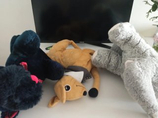Lote 3 peluches: elefante, perro y más