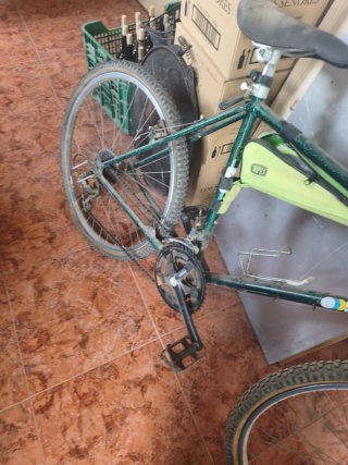 Bicicleta Orbea verde