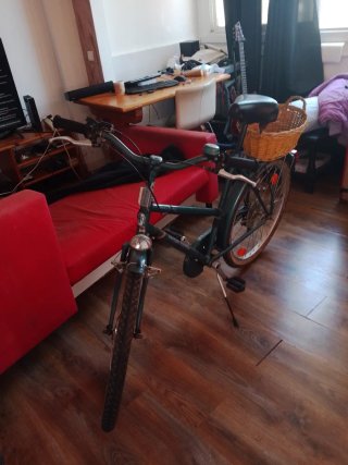 Bicicleta de paseo con cesta