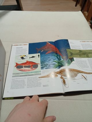 Libro de dinosaurios