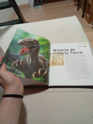 Libro de dinosaurios