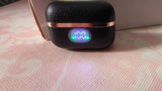 Auriculares New Senyang PRO2S TWS Negro/Dorado