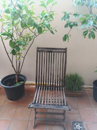 4 Sillas Teka de Madera