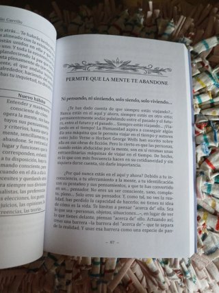 Sin mente, sin lenguaje, sin tiempo la práctica...