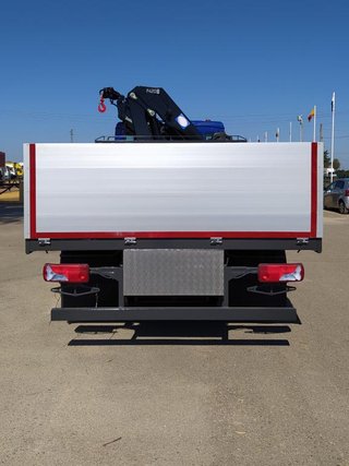 MAN TGS 18 320-CAMIONES GRUAS