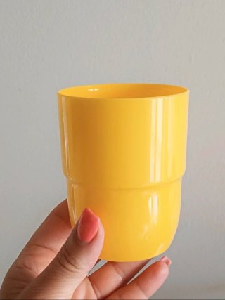 Set da pic nic in plastica rigida COSMOPLAST