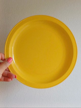 Set da pic nic in plastica rigida COSMOPLAST