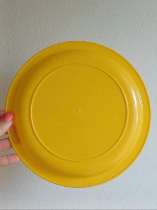 Set da pic nic in plastica rigida COSMOPLAST