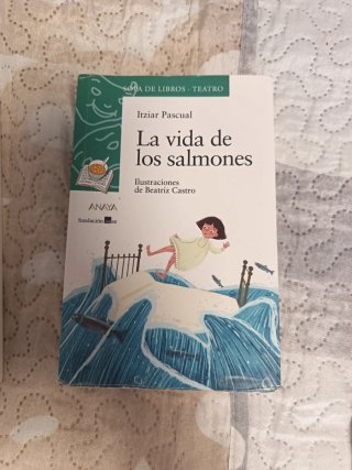 Lengua castellana, 1 ESO, Programa Carmen de Bu...