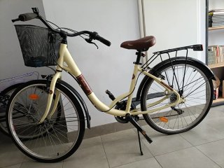 Bicicleta Urbana Paseo Adulto