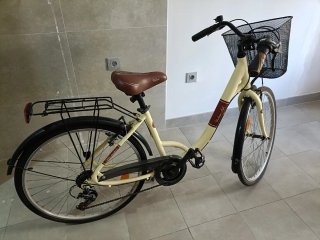 Bicicleta Urbana Paseo Adulto