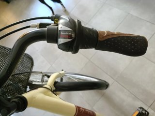 Bicicleta Urbana Paseo Adulto