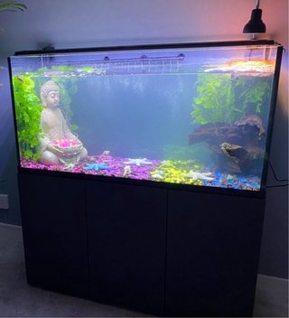 Acuario 250 litros  con mueble y tapa