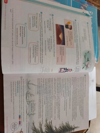 Lengua castellana y literatura, 5 Primaria Revuela
