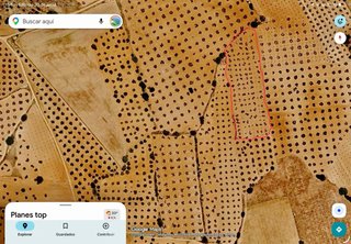 Vendo olivar con 140 olivos. Zona los selvares