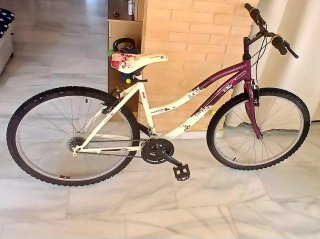 Bicicleta de montaña morada y blanca