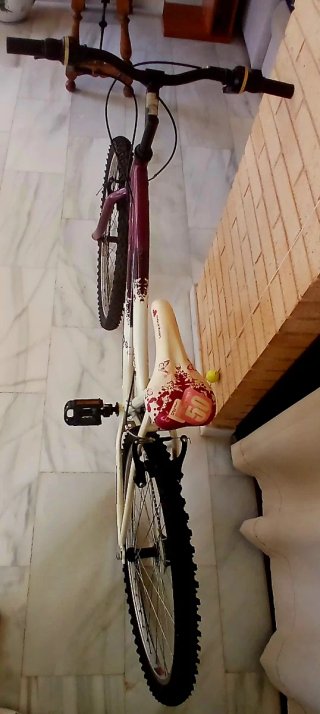 Bicicleta de montaña morada y blanca
