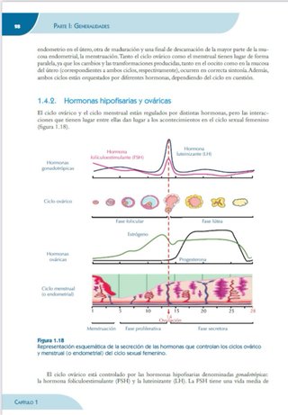 Libro Citología Ginecológica