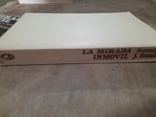 La mirada inmóvil