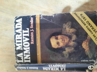 La mirada inmóvil