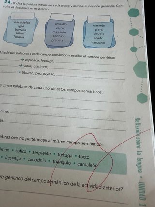 Reto 5. Lengua castellanas 5. Lengua castellana.
