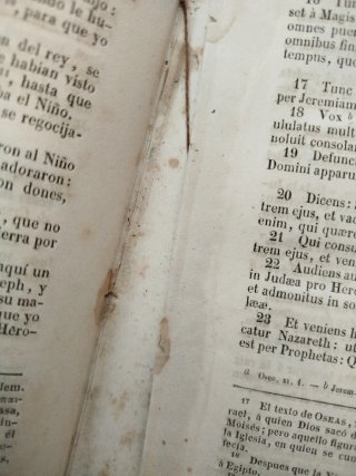 Lote Biblias Antiguas
