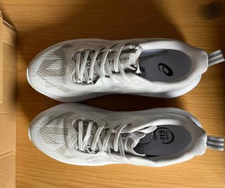 Asics Novablast 5 Gris/Blanco Talla 39