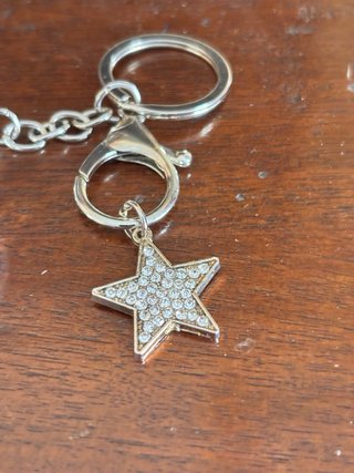 Portamonete con paillettes argento e stella