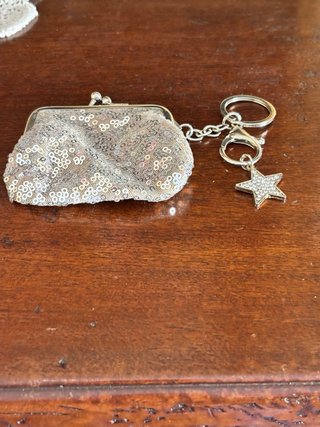 Portamonete con paillettes argento e stella
