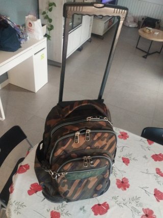 Mochila con ruedas grande