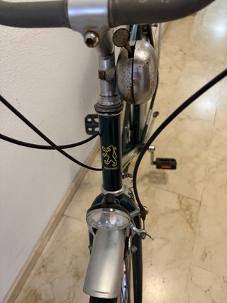 Bicicleta Paseo Peugeot Verde