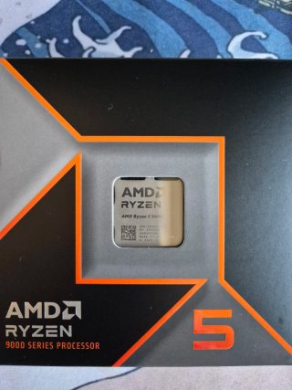 Procesador AMD Ryzen 5 9600