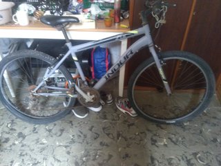 Bicicleta INDUR Gris