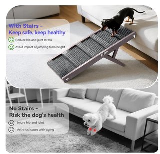 Rampa pieghevole e regolabile per cani