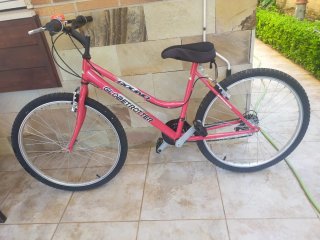 Bicicleta Globetrotter