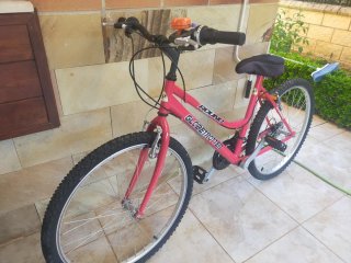 Bicicleta Globetrotter