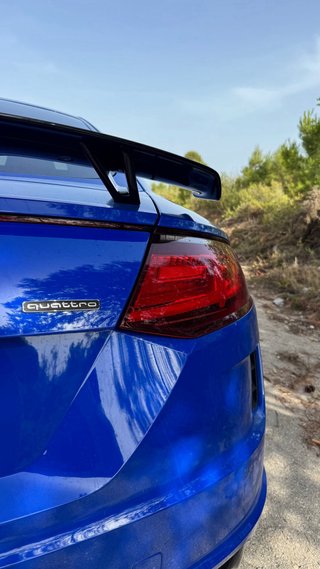 Audi TT Last Edition 45 TFSI 245cv