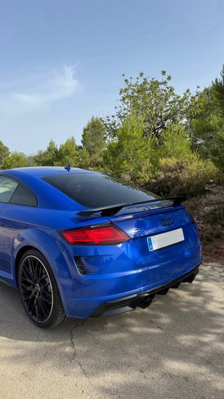Audi TT Last Edition 45 TFSI 245cv
