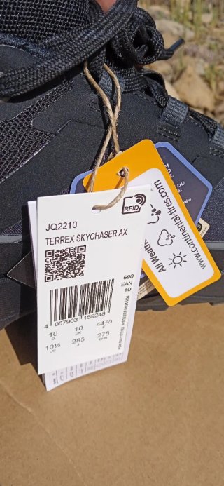Adidas Terrex Skychaser AX5 GTX