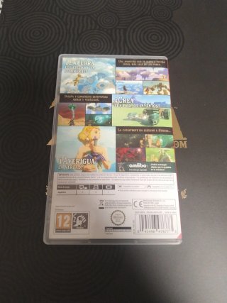 Zelda Tears of the Kingdom Switch