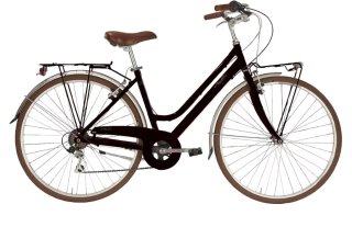 Bicicleta de paseo clásica