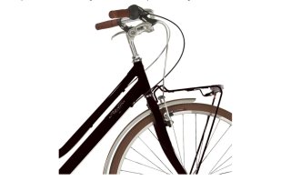 Bicicleta de paseo clásica